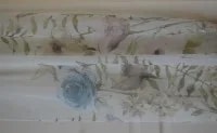 Vanelli